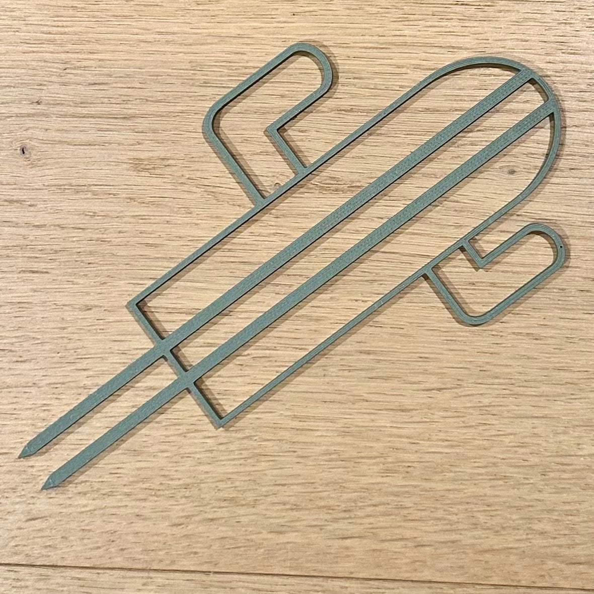 Plantestøtte kaktus